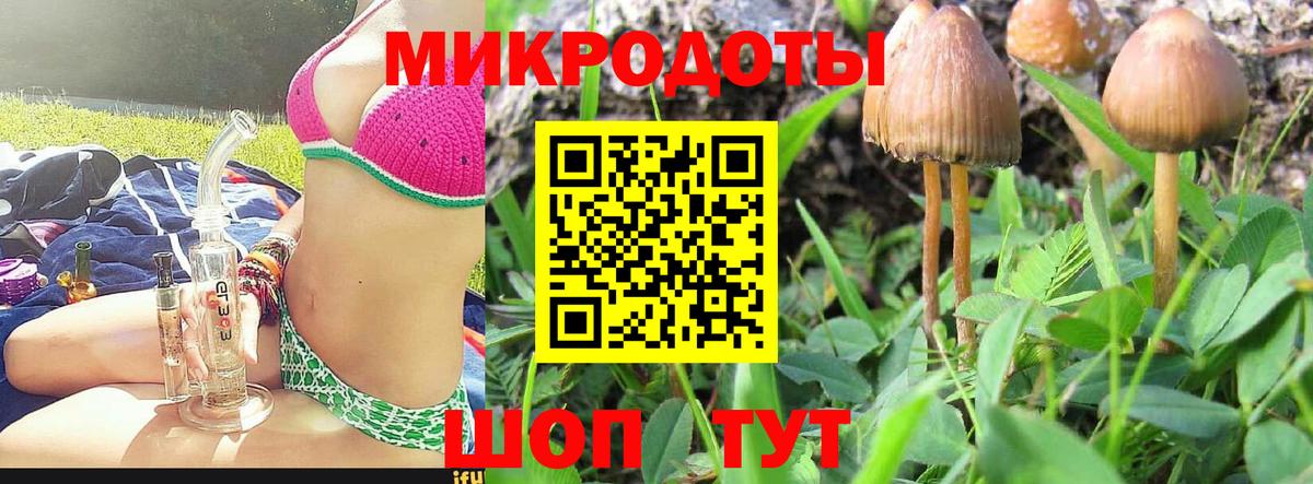 Галлюциногенные грибы Psilocybine cubensis Краснодар